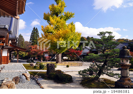 秋の永保寺17 秋の永保寺17 19486381