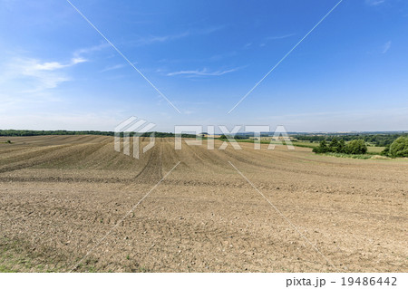 landscape with arable land forest and blue sky 19486442