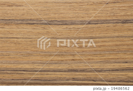 macro wood texture of a conifer for backgrounds 19486562