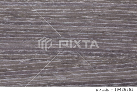 gray wood texture for backgrounds and overlays 19486563