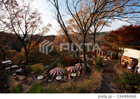 天空のカフェ【晩秋】 天空のカフェ【晩秋】 19486666