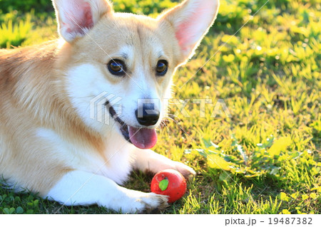 ちょっち休憩♪ 19487382