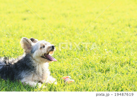 ちょっち休憩♪ 19487619