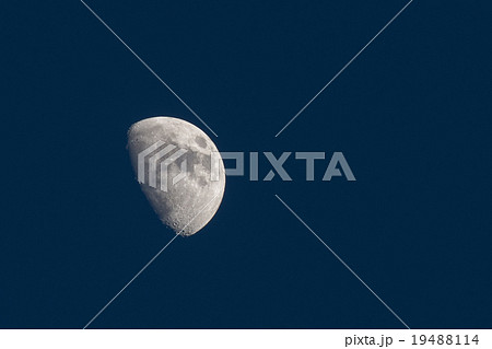 月齢 8.7 小潮頃の月 19488114