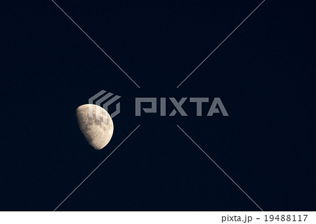 月齢 8.7 小潮頃の月 月齢 8.7 小潮頃の月 19488117