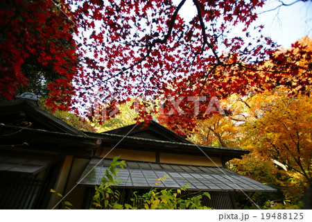 紅葉の横浜三渓園「聴秋閣」 紅葉の横浜三渓園「聴秋閣」 19488125