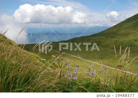秋田駒ヶ岳 秋田駒ヶ岳 19488377