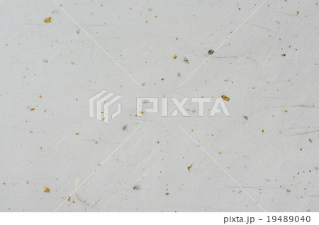 金箔銀箔漉き込み和紙 19489040