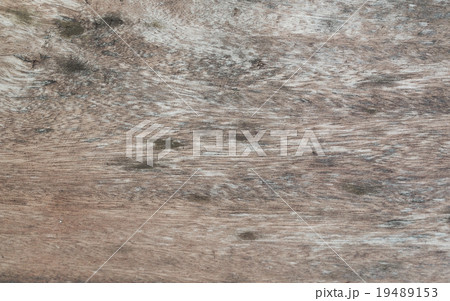 Patterns of wood Patterns of wood 19489153