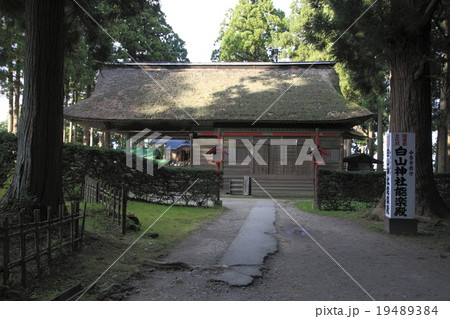 平泉中尊寺 平泉中尊寺 19489384