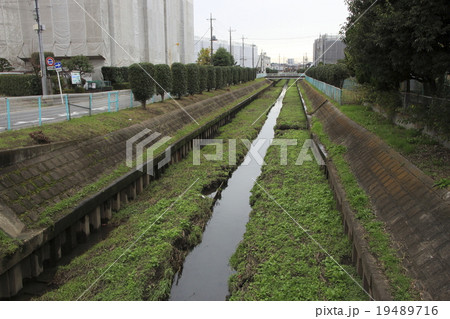 上尾付近を流れる芝川 19489716