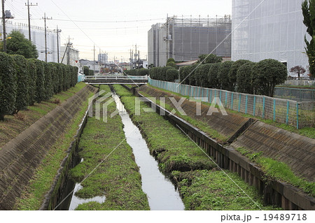 上尾付近を流れる芝川 上尾付近を流れる芝川 19489718