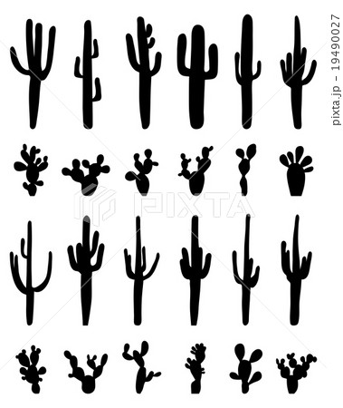 silhouettes of cactus silhouettes of cactus 19490027