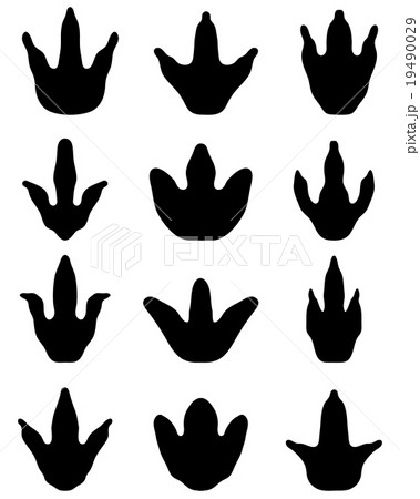 footprints of dinosaur footprints of dinosaur 19490029
