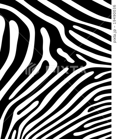 skin of zebra 19490036