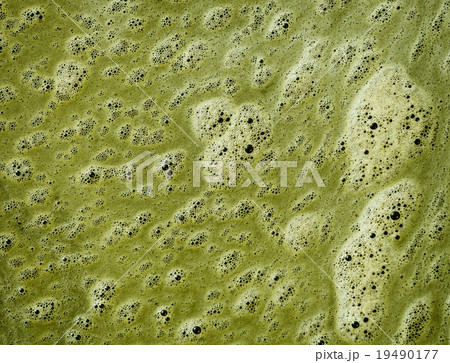Green scum on the surface of dirty water Green scum on the surface of dirty water 19490177