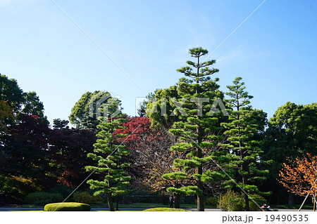皇居東御苑の風景 皇居東御苑の風景 19490535