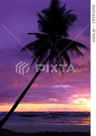 Beautiful sunset at tropical beach with palm trees Beautiful sunset at tropical beach with palm trees 19491040