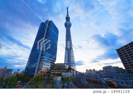 夕暮れの東京スカイツリーとスカイツリータウン 19491139