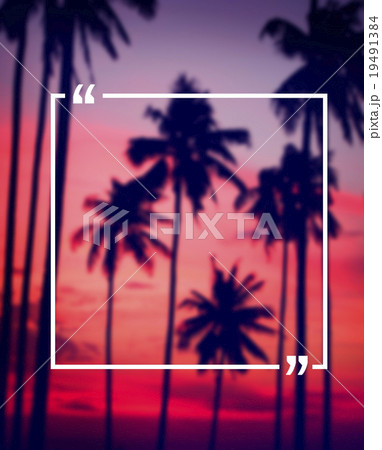 Silhouette Coconut Palm Tree Outdoors Concept Silhouette Coconut Palm Tree Outdoors Concept 19491384