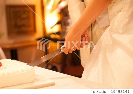 ウェディング2 ウェディング2 19492141