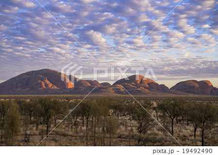 マウントオルガ夕景 マウントオルガ夕景 19492490
