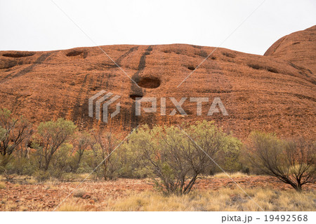 オルガ渓谷の風の谷 オルガ渓谷の風の谷 19492568