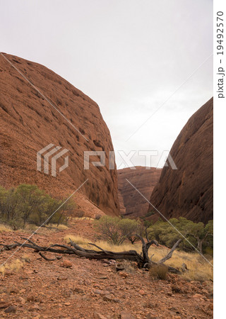 オルガ渓谷の風の谷 19492570