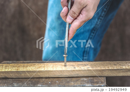 screws into wooden plank. screws into wooden plank. 19492949