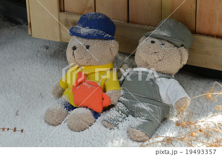 Brown teddy bear with Gift box 19493357