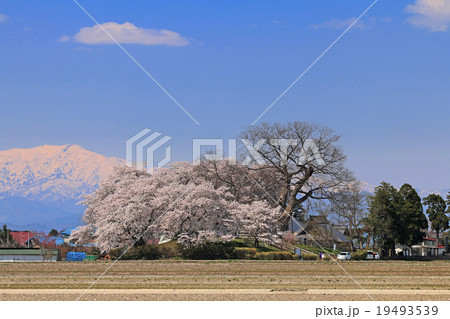神指城跡 19493539