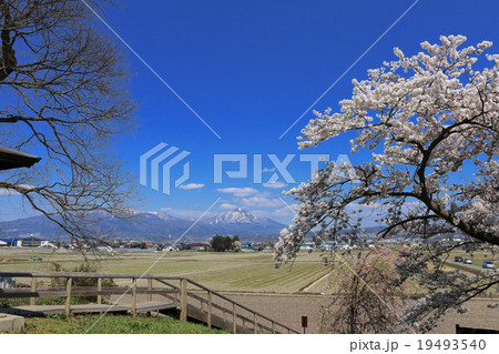 神指城跡からの磐梯山 神指城跡からの磐梯山 19493540