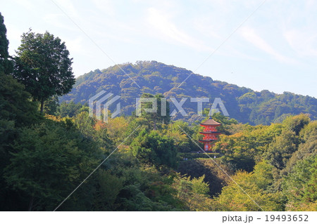 清水寺　子安塔 19493652