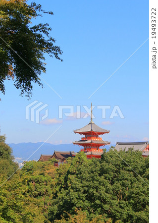 清水寺　三重塔 19493722