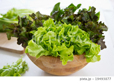 Varieties of Lettuce in colander Varieties of Lettuce in colander 19493877