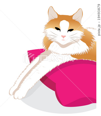 猫 19493879