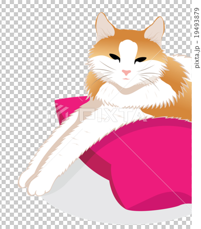 猫 19493879