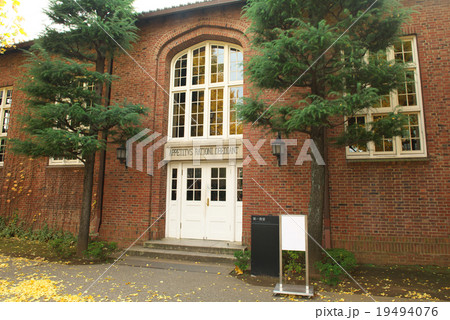 晩秋のキャンパス 19494076