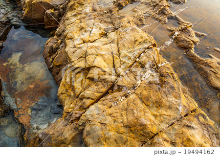 the rock at sea beach. 19494162