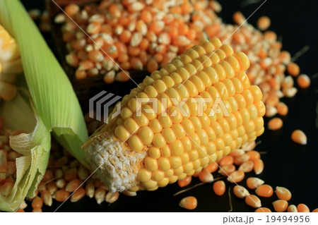 Corn and dried seeds 19494956