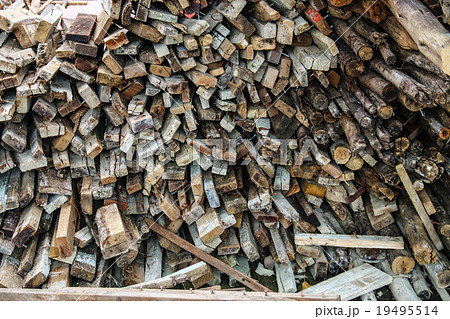 firewood 19495514