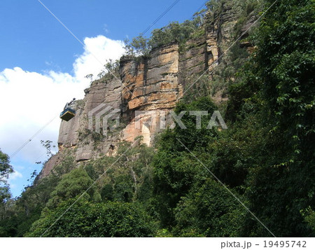 ブルーマウンテン2 19495742