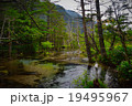 上高地 19495967