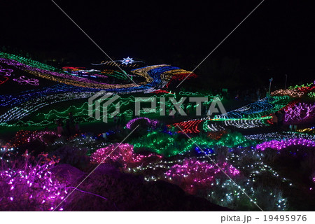 讃岐まんのう公園のイルミネーション 讃岐まんのう公園のイルミネーション 19495976