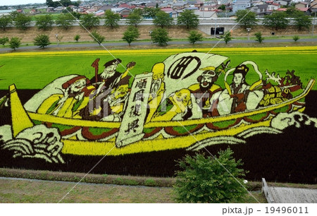 田舎館村の田んぼアート 田舎館村の田んぼアート 19496011