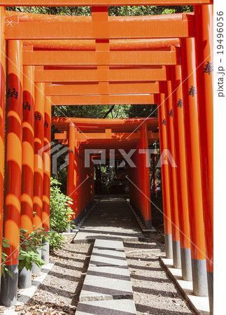 城山八幡宮豊玉稲荷社の奉納鳥居 城山八幡宮豊玉稲荷社の奉納鳥居 19496056