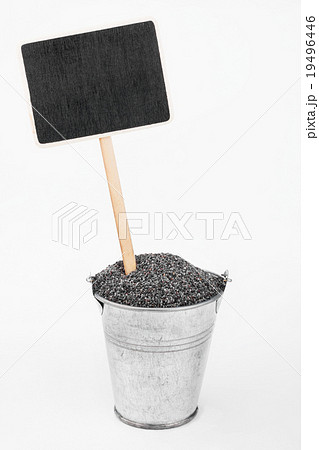Pointer, price in bucket of poppy seeds Pointer, price in bucket of poppy seeds 19496446