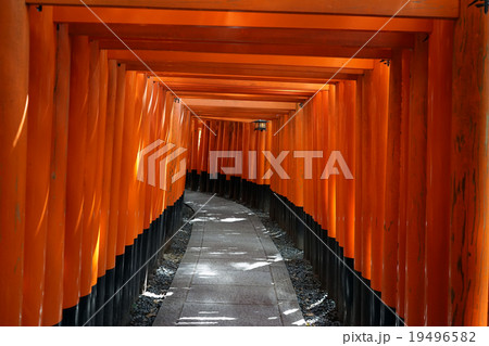 伏見稲荷大社　千本鳥居　左曲がり 19496582