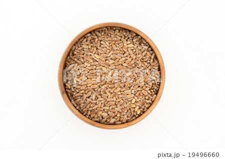 ウィートグラス種子(ウィートベリー):Wheatgrass seeds(wheat berries) ウィートグラス種子(ウィートベリー):Wheatgrass seeds(wheat berries) 19496660