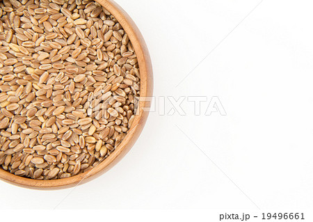 ウィートグラス種子（ウィートベリー）:Wheatgrass seeds(wheat berries) 19496661